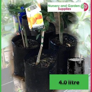 4 litre Poly Planter Bags at Nursery and Garden Supplies - for more info go to old.nurseryandgardensupplies.com.au