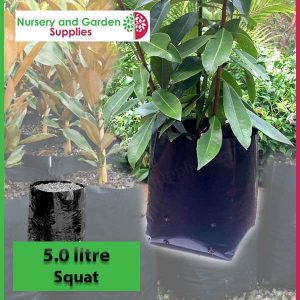 5 litre Squat Poly Planter Bags at Nursery and Garden Supplies - for more info go to old.nurseryandgardensupplies.com.au