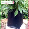 5 litre Squat Poly Planter Bags at Nursery and Garden Supplies - for more info go to old.nurseryandgardensupplies.com.au