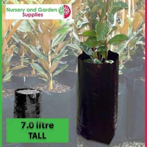 7 litre Tall Poly Planter Bags at Nursery and Garden Supplies - for more info go to old.nurseryandgardensupplies.com.au