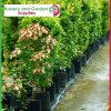 45 litre Poly Planter Bags at Nursery and Garden Supplies - for more info go to old.nurseryandgardensupplies.com.au