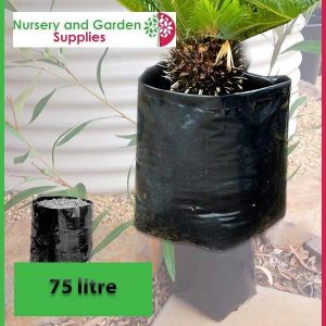 75 litre Poly Planter Bags at Nursery and Garden Supplies - for more info go to old.nurseryandgardensupplies.com.au