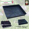 Seedling Tray Restricted Drainage - for more info go to old.nurseryandgardensupplies.com.au