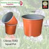 120mm SQUAT Teku Plant Pot T/C