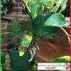 140mm Hanging pot Green - for more info go to old.nurseryandgardensupplies.com.au