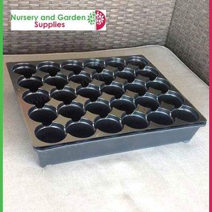 30 cell Seedling Tray - for more info go to old.nurseryandgardensupplies.com.au