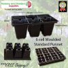 6 cell Moulded Punnet Standard - for more info go to old.nurseryandgardensupplies.com.au