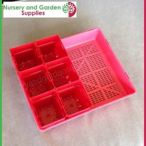 Seedling Tray Restricted Drainage with 100mm Square Punnet-Pot - for more info go to old.nurseryandgardensupplies.com.au