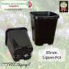 85mm Square plant pot black - for more info go to old.nurseryandgardensupplies.com.au