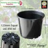 125mm Squat Plant Pot - for more info go to old.nurseryandgardensupplies.com.au