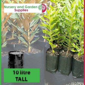 10 litre Tall Poly Planter Bags at Nursery and Garden Supplies - for more info go to old.nurseryandgardensupplies.com.au