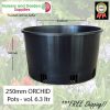 250mm ORCHID Squat Pot - for more info go to old.nurseryandgardensupplies.com.au