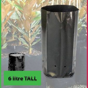 6 litre Tall Poly Planter Bags at Nursery and Garden Supplies - for more info go to old.nurseryandgardensupplies.com.au