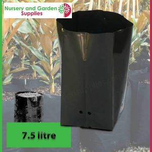 7.5 litre Poly Planter Bags at Nursery and Garden Supplies - for more info go to old.nurseryandgardensupplies.com.au