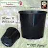 200mm Plastic Plant Pot 8" Standard Height Black - for more info go to old.nurseryandgardensupplies.com.au