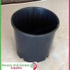 200mm Plastic Plant Pot 8" Standard Height Black - for more info go to old.nurseryandgardensupplies.com.au