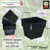 100mm Square Squat Punnet-Pot Black - for more info go to old.nurseryandgardensupplies.com.au