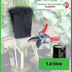 1 litre Poly Planter Bags at Nursery and Garden Supplies - for more info go to old.nurseryandgardensupplies.com.au