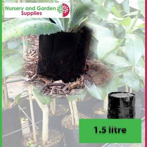 1.5 litre Poly Planter Bags at Nursery and Garden Supplies - for more info go to old.nurseryandgardensupplies.com.au