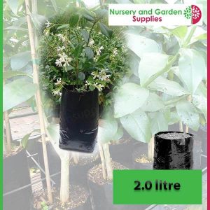 2 litre Poly Planter Bags at Nursery and Garden Supplies - for more info go to old.nurseryandgardensupplies.com.au