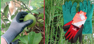 Gardening & Potting Gloves Category - Nursery and Garden Supplies - for more info go to old.nurseryandgardensupplies.com.au