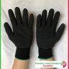 Cold weather potting glove - for more info go to old.nurseryandgardensupplies.com.au