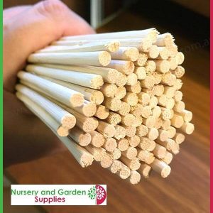 40cm Bamboo Sticks - for more info go to old.nurseryandgardensupplies.com.au