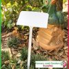 250mm white display plant label - for more info go to old.nurseryandgardensupplies.com.au