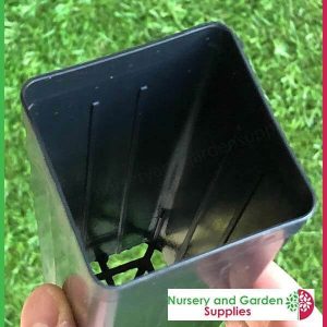 50mm Native Deep Square Tube - for more info go to old.nurseryandgardensupplies.com.au