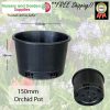 150mm ORCHID Squat Pot - for more info go to old.nurseryandgardensupplies.com.au