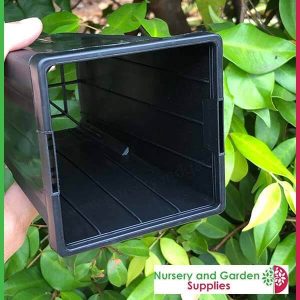 90mm Square Native Pot - for more info go to old.nurseryandgardensupplies.com.au