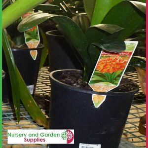 Taglok Label System - for more info go to old.nurseryandgardensupplies.com.au