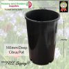 165mm Citrus Pot Deep - for more info go to old.nurseryandgardensupplies.com.au