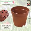 55mm Teku Standard Pot - for more info go to old.nurseryandgardensupplies.com.au