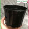 150mm Squat Pot Decorative Black