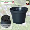 70mm Squat TEKU Pot Black