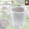 125mm Clear Phalaenopsis Pot